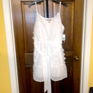 NWT Size Large, White,  Flying Tomato, Swiss Dot, A Line Dress
